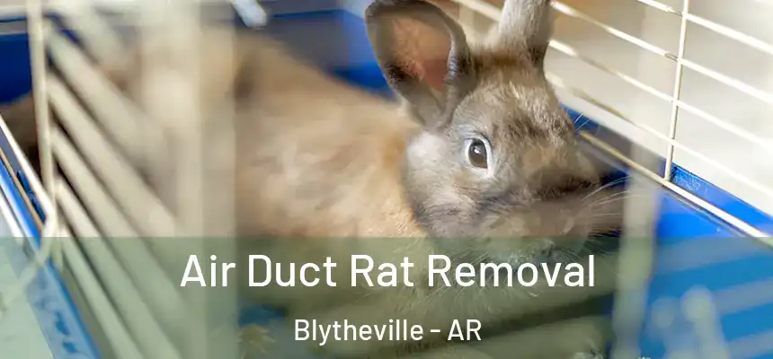 Air Duct Rat Removal Blytheville - AR