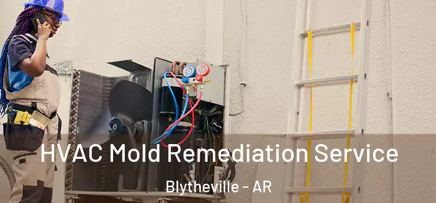  HVAC Mold Remediation Service Blytheville - AR