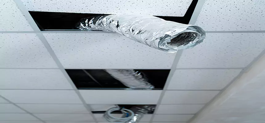 Our Air Duct Pet Hair Removal Services in Blytheville, AR