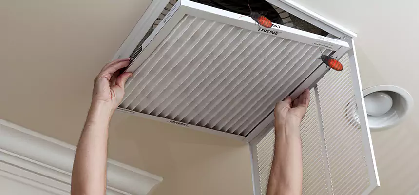 Our Insect Removal from Air Ducts Services in Blytheville, AR