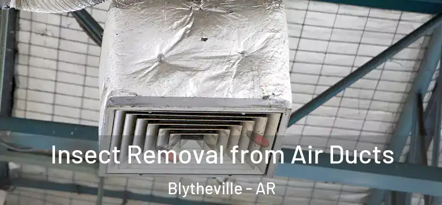  Insect Removal from Air Ducts Blytheville - AR