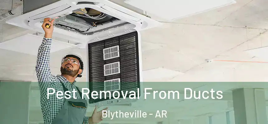  Pest Removal From Ducts Blytheville - AR