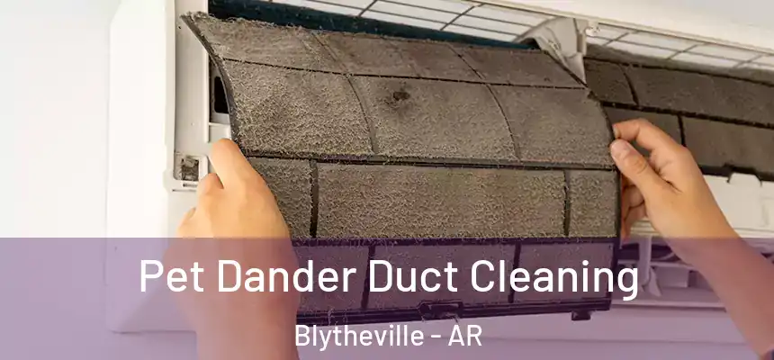 Pet Dander Duct Cleaning Blytheville - AR