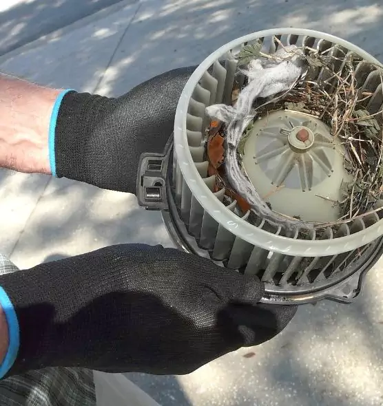 About Air Duct Rat Removal in Blytheville, AR