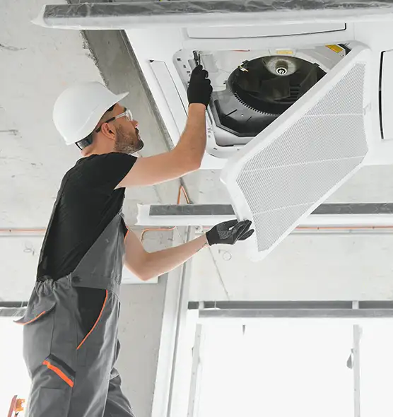 About Air Duct Rodent Removal in Blytheville, AR