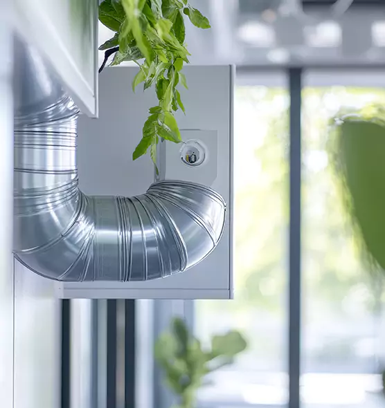 Professional Eco-Safe Dryer Vent Cleaning in Blytheville, AR