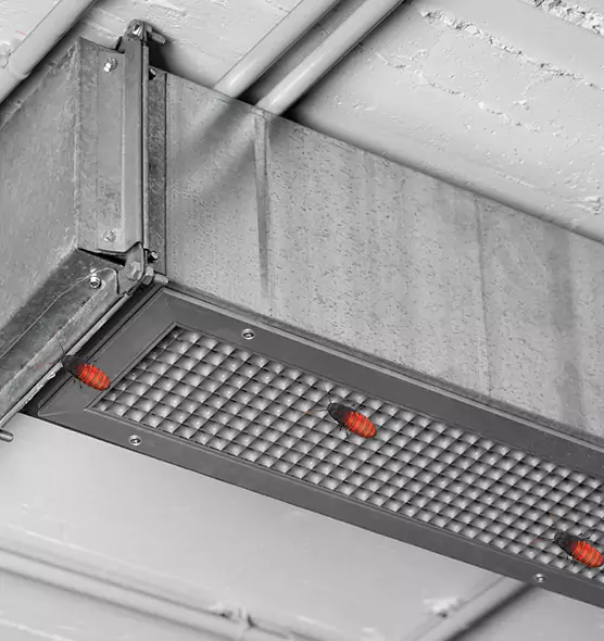 Affordable Insect Removal from Air Ducts in Blytheville, AR