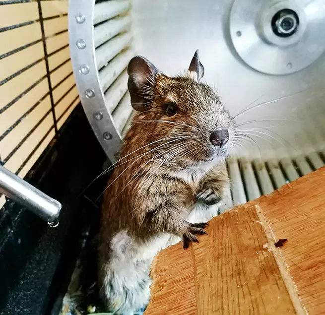 Why Homeowners & Businesses Trust Us Blytheville, AR